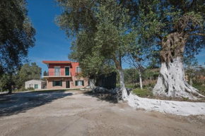 Village House In An Olive Grove!
